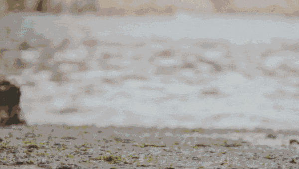 莆田仿鞋江湖揭秘：真仿之争背后的利益迷局