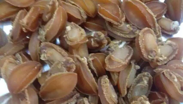 莆田低价货源揭秘工厂直销真相